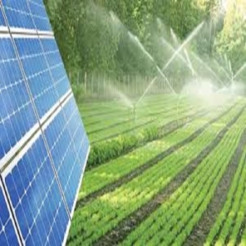 Vệ Sinh Tấm Pin Năng Lượng Mặt Trời Tại  huyện Đắk R'Lấp Tỉnh Đắk Nông